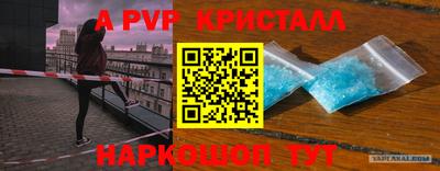 шишки Апшеронск