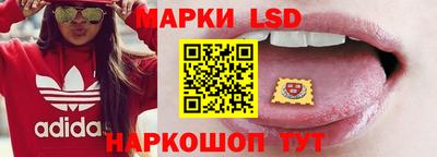 шишки Апшеронск