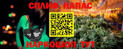 шишки Апшеронск