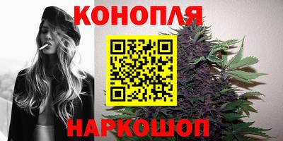 Альфа ПВП Аргун