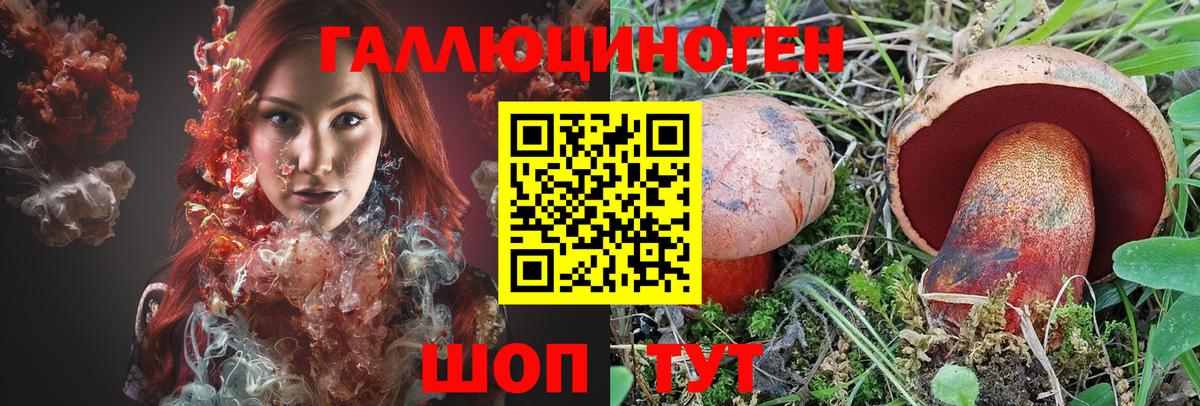 Псилоцибиновые грибы GOLDEN TEACHER Борисоглебск